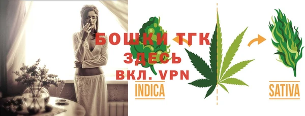 ешки Инта