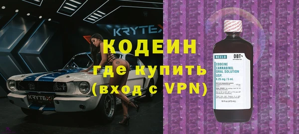 ешки Инта