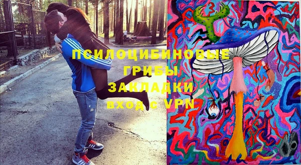 ешки Инта